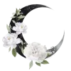 🌙