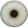 👁️