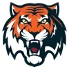 🐅