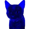 🐱