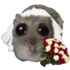 👰‍♀