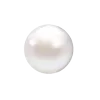 🦪