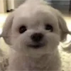 ☺️