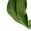 🌿
