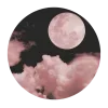 🌙