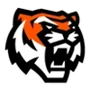 🐯