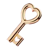 🔑