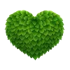 💚
