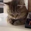😭