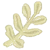 🌱