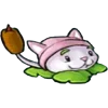 🐱