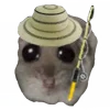 🎣