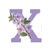 🌸