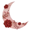 🌙