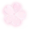 🌺