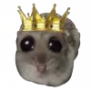 👑