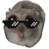 😎