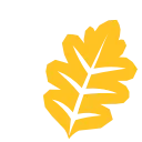 🍁