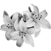 💐