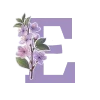 🌸