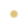 🟠