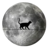 🌙