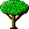 🌳