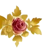 🌼