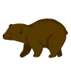 🐻