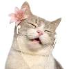 🤎