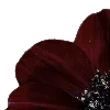 🌺