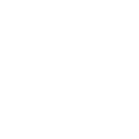 🐉