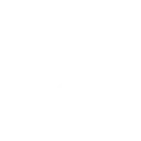💫