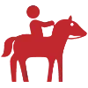 🐴
