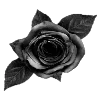 🌹