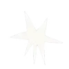 🌟