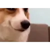 😊