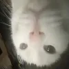 🙃