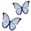 🤍