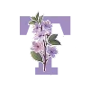 🌸