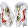 👀
