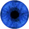 👁