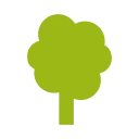 🌳