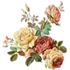 🌼