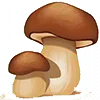 🍄