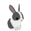 🐰
