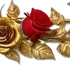 🌹