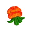 🍓