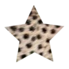 ⭐️