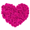 🌹